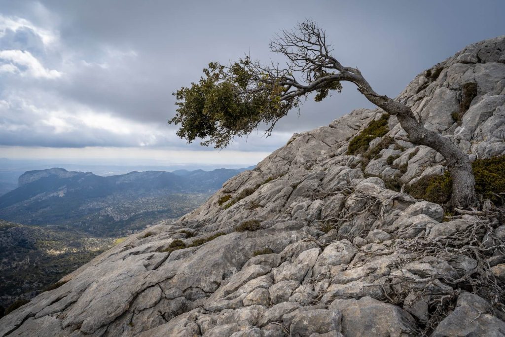 Building Resilience: Strategies for Overcoming Obstacles