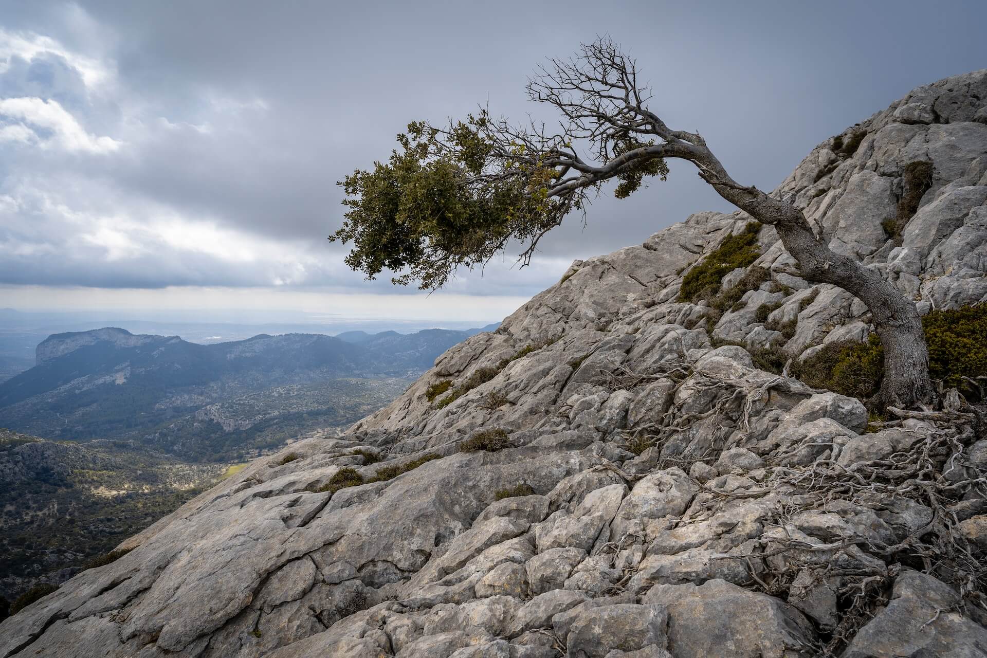 Building Resilience: Strategies for Overcoming Obstacles
